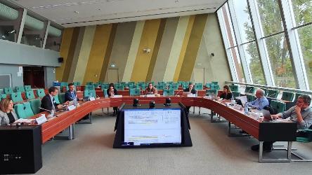 Comité d'experts sur l'intégrité de l'information en ligne (MSI-INF) a tenu sa deuxième réunion dans un format hybride