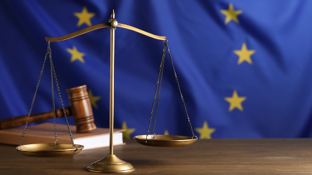 Publication : Questions relatives aux Juges de la Cour européenne des droits de l'Homme