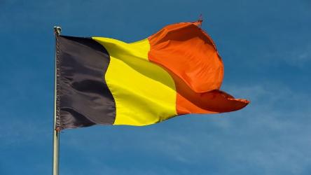 La Belgique soumet le formulaire de rapport sur la mise en œuvre des recommandations émises par le Comité des Parties