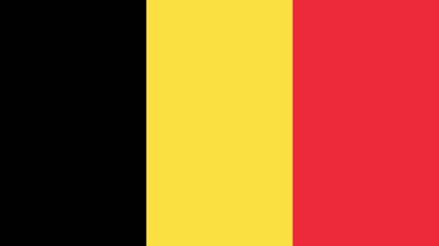 La Belgique ratifie la Convention d'Istanbul