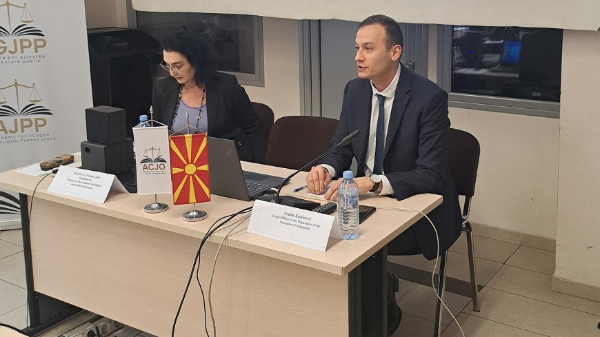 North Macedonia: Workshop on the execution of the European Court’s judgments concerning the right to liberty and security