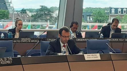 Statement of Mr Petr VÁLEK, Chair of the CAHDI, at the 1349th meeting of the Ministers' Deputies on 12th June 2019