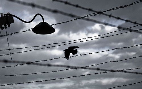 Europe still needs to draw lessons from the Holocaust