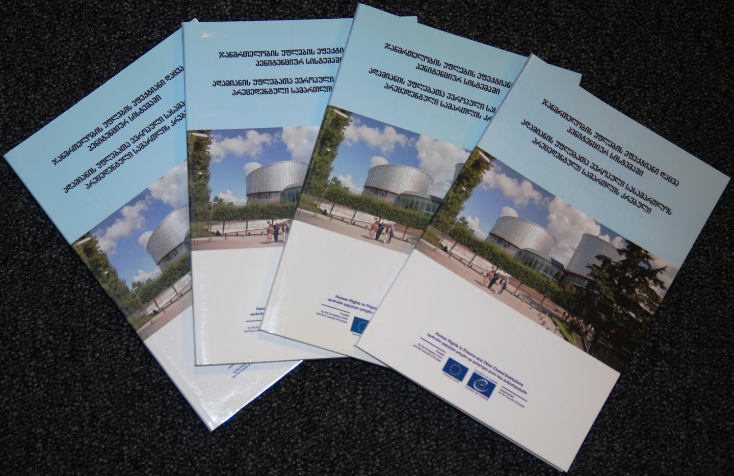 Compilation of summaries of the case law of the ECtHR on prison healthcare related issues was developed in Georgian and printed in 500 copies