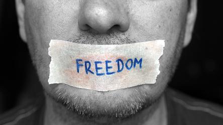 Свобода мысли (и свобода от голода!) – баланс между свободой слова и защитой от диффамации