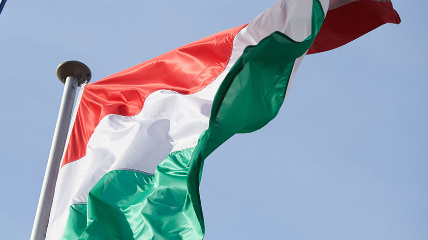 L’Assemblea parlamentare chiede all’Ungheria di interrompere il lavoro sulle leggi relative al finanziamento delle ONG e all'università
