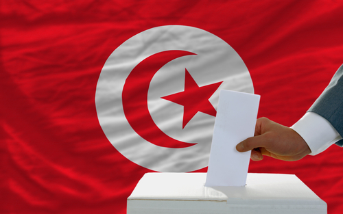 Image result for Tunisia electoral body