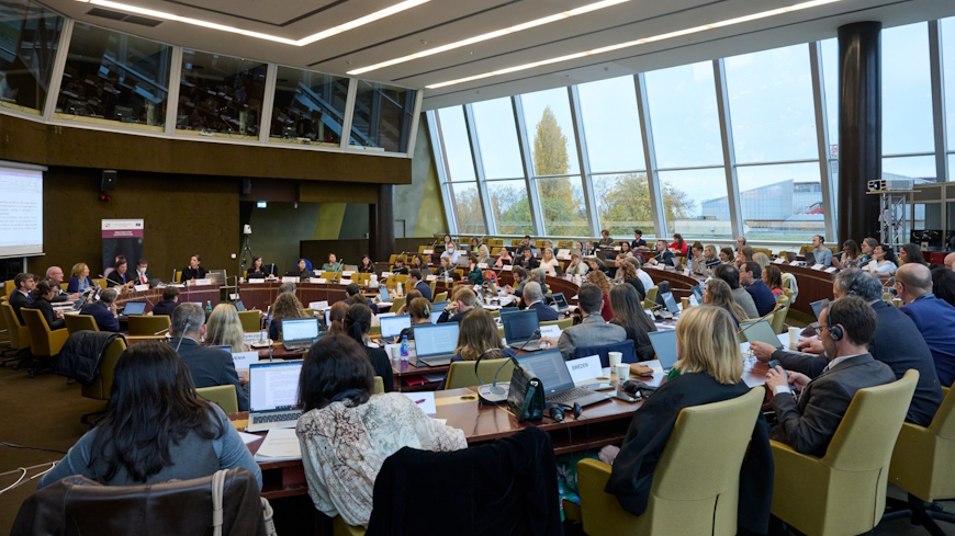 Le CDCJ a tenu sa 101e réunion plénière du 15 au 17 novembre 2023 à Strasbourg