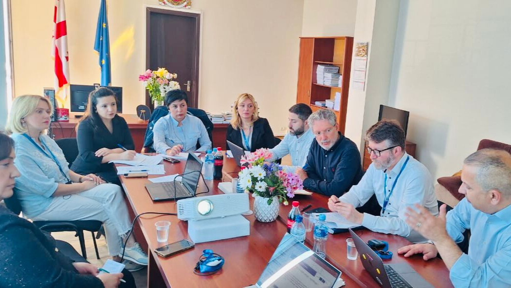 CEPEJ workshop on piloting its Backlog reduction tool in Batumi City Court (Georgia)