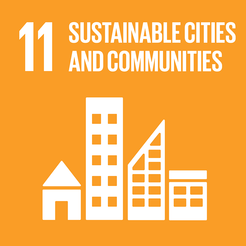 Link to goal 11 Sustainable cities and communities
