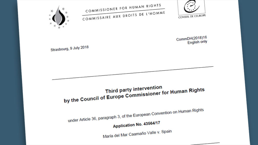 Commissioner Mijatović intervenes before the Strasbourg Court on the right to vote of persons with disabilities