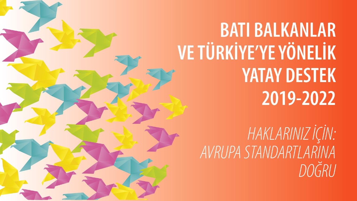 Fostering a Comprehensive Institutional Response to Violence Against Women and Domestic Violence in Turkey