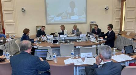 Working Group examines the structure of the CCJE’s future Opinion on use of technology in the judiciary