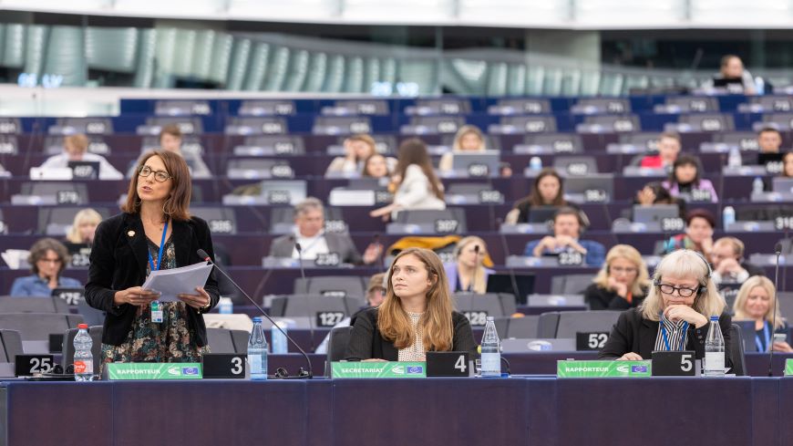 Council of Europe