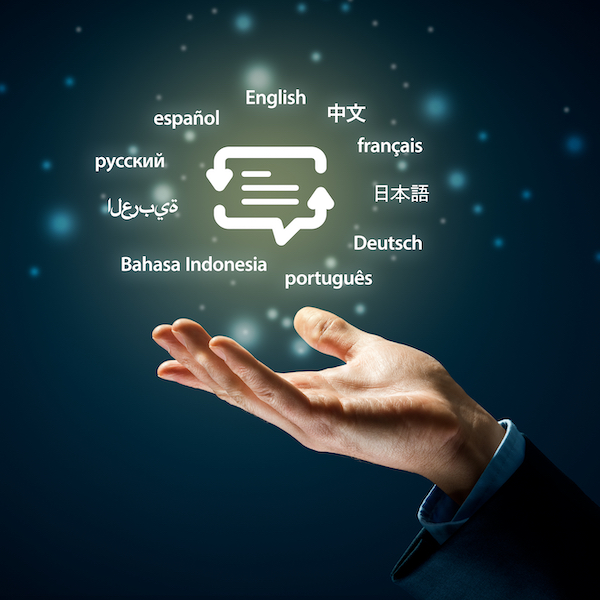 Raising awareness of safety issues; translation and dissemination of the Recommendation (paragraphs 28 and 29 of the Guidelines)