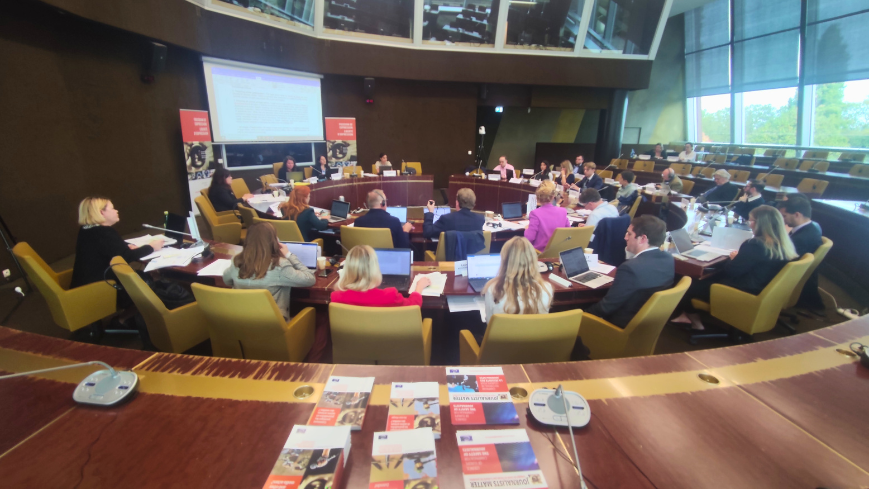 4th meeting of the Committee of Experts on Strategic Lawsuits Against Public Participation