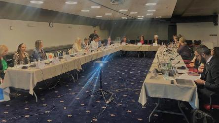 Première réunion du comité directeur du projet "Renforcement des capacités institutionnelles en matière de liberté d'expression et d'information en Bosnie-Herzégovine (EFEX)".