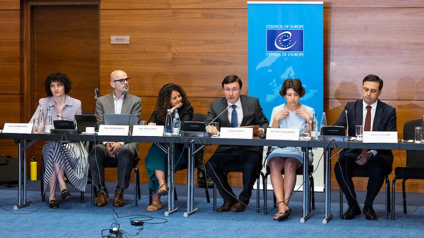 Discussion on the legislation and practice of Georgia regarding the protection and safety of journalists