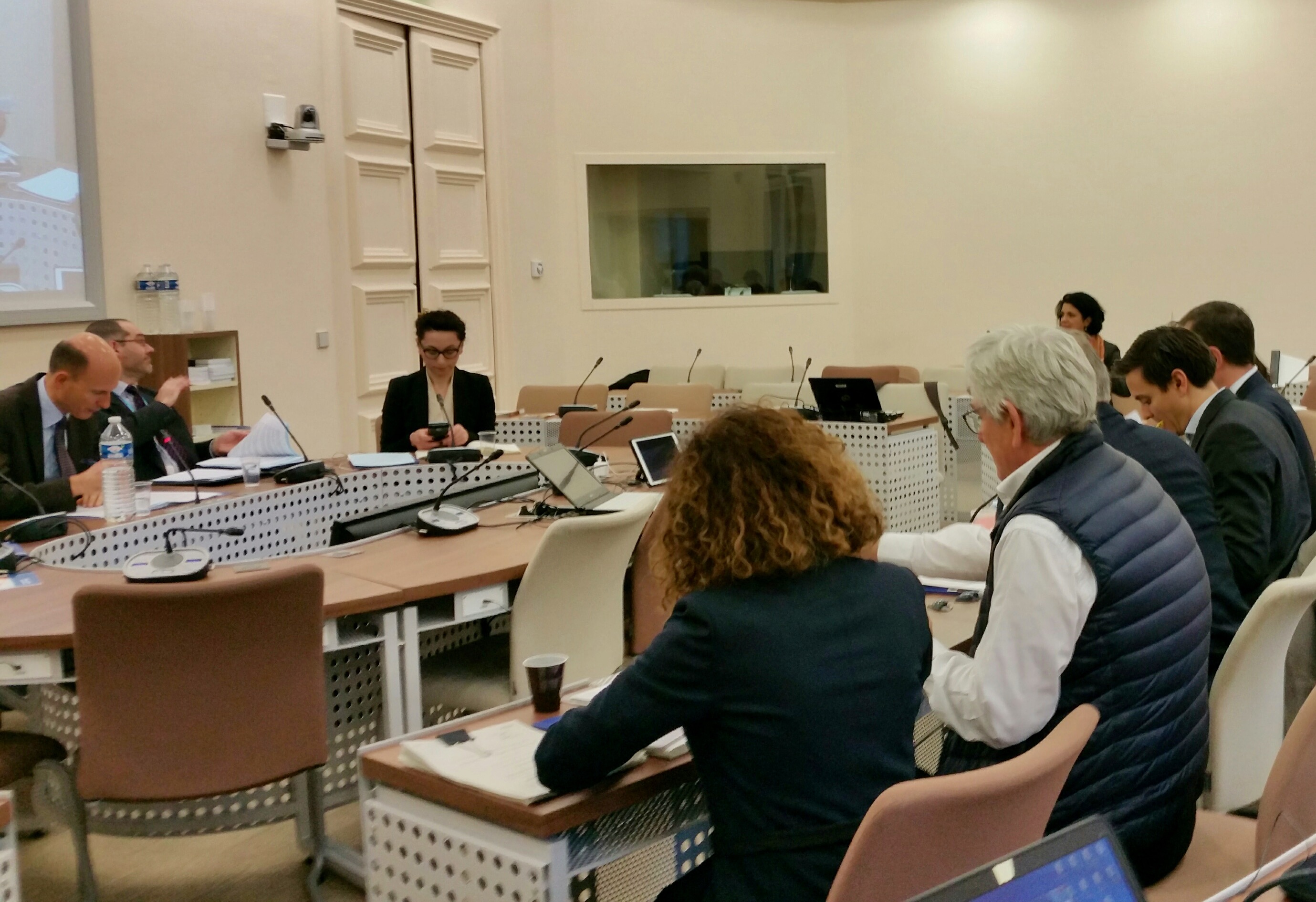 Council of Europe and Internet industry - Working together to respect human rights and the rule of law on the Internet