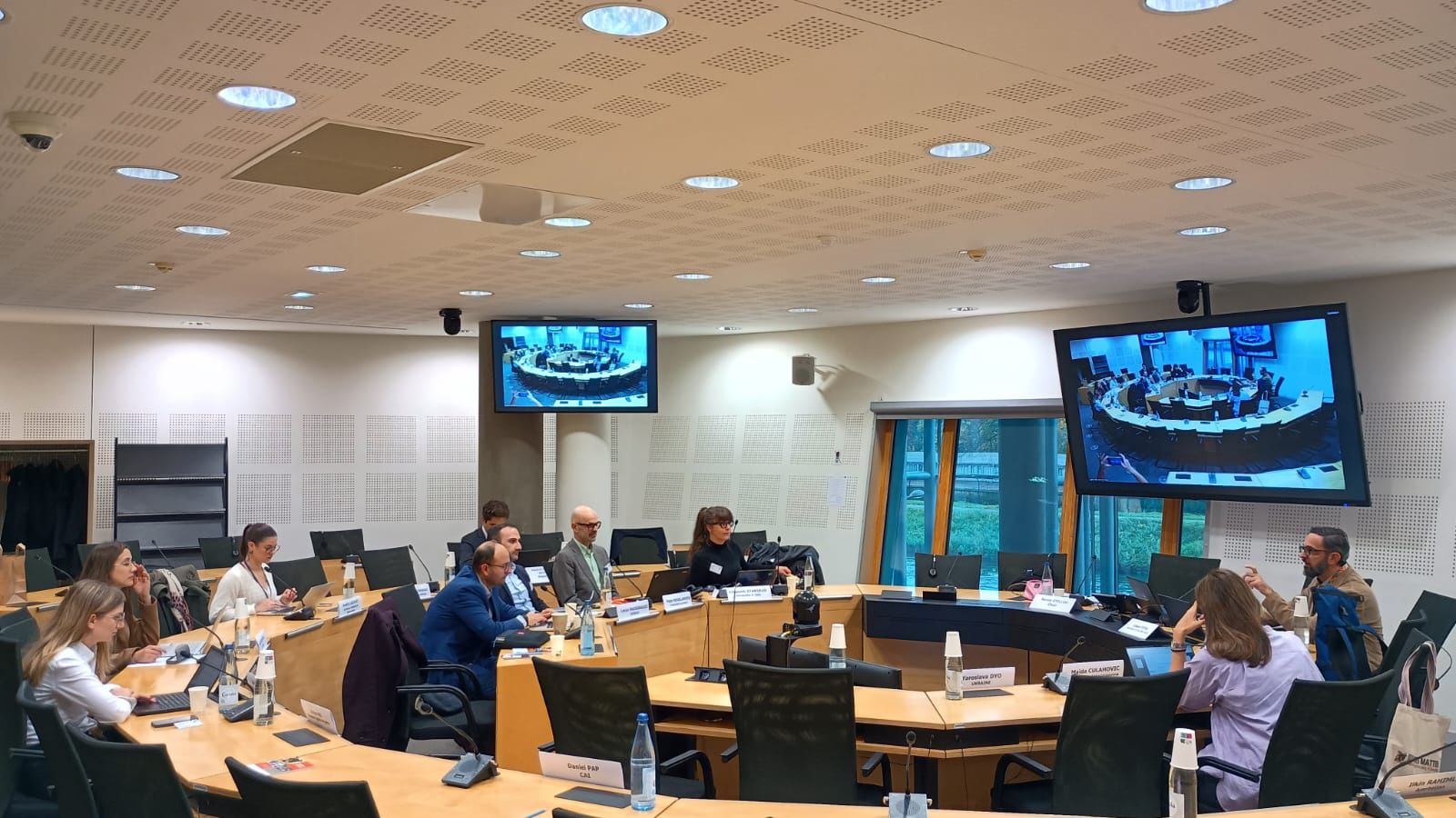 Council of Europe Committee of Experts finalises draft Recommendation on online safety and empowerment of users and content creators