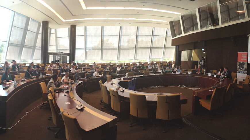 21st CDMSI plenary held in hybrid format in Strasbourg