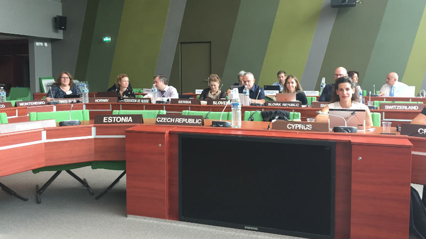 CDMSI assesses progress and discusses its roadmap