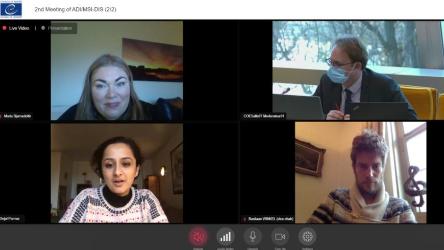 Committee of Experts on Combating Hate Speech holds its second online meeting