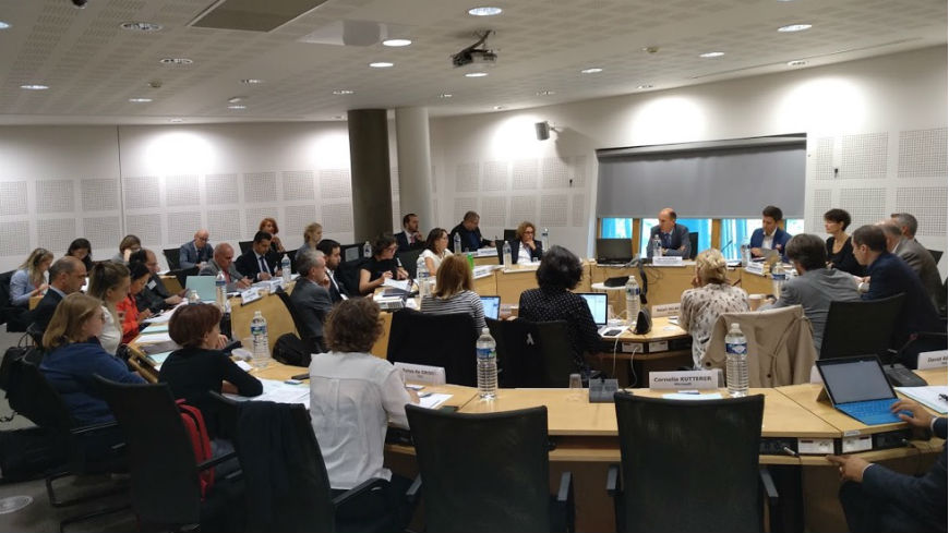 MSI-AUT experts examined the human rights impact of artificial intelligence (AI)