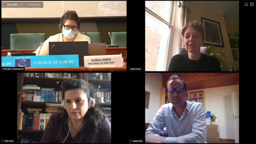 Committee of Experts on Media Environment and Reform (MSI-REF) held its third meeting via videoconference