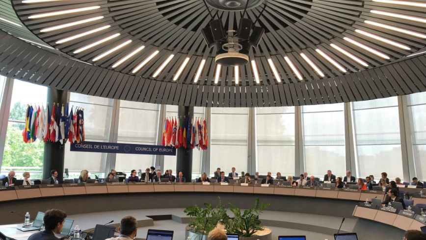 Council of Europe co-operation with IT sector: two new partners
