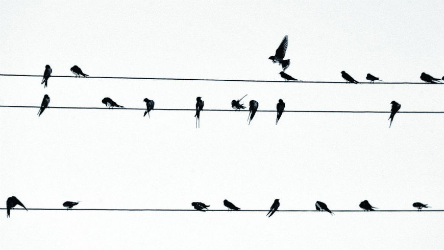 Image © Murat Cankoçak