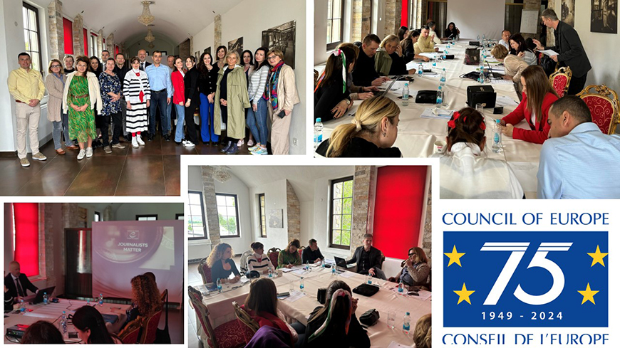 Safety of Journalists in Bosnia and Herzegovina: Preparation of the Pilot Report
