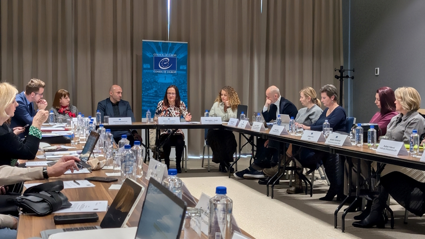 Ninth Meeting of Coordination Working Group Advances Freedom of Expression Efforts in BiH
