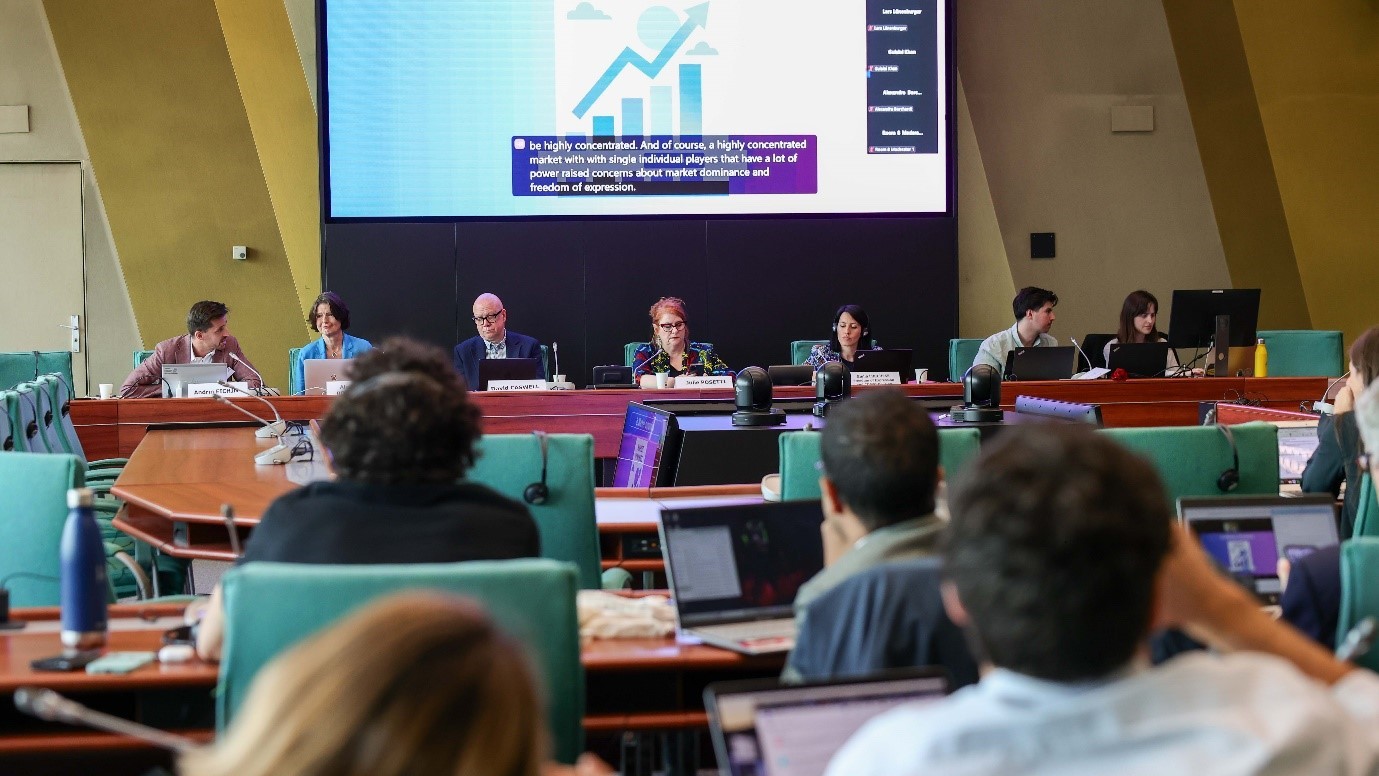 EuroDIG2025: workshop on Generative AI and Freedom of Expression organised by the Freedom of Expression and CDMSI Division
