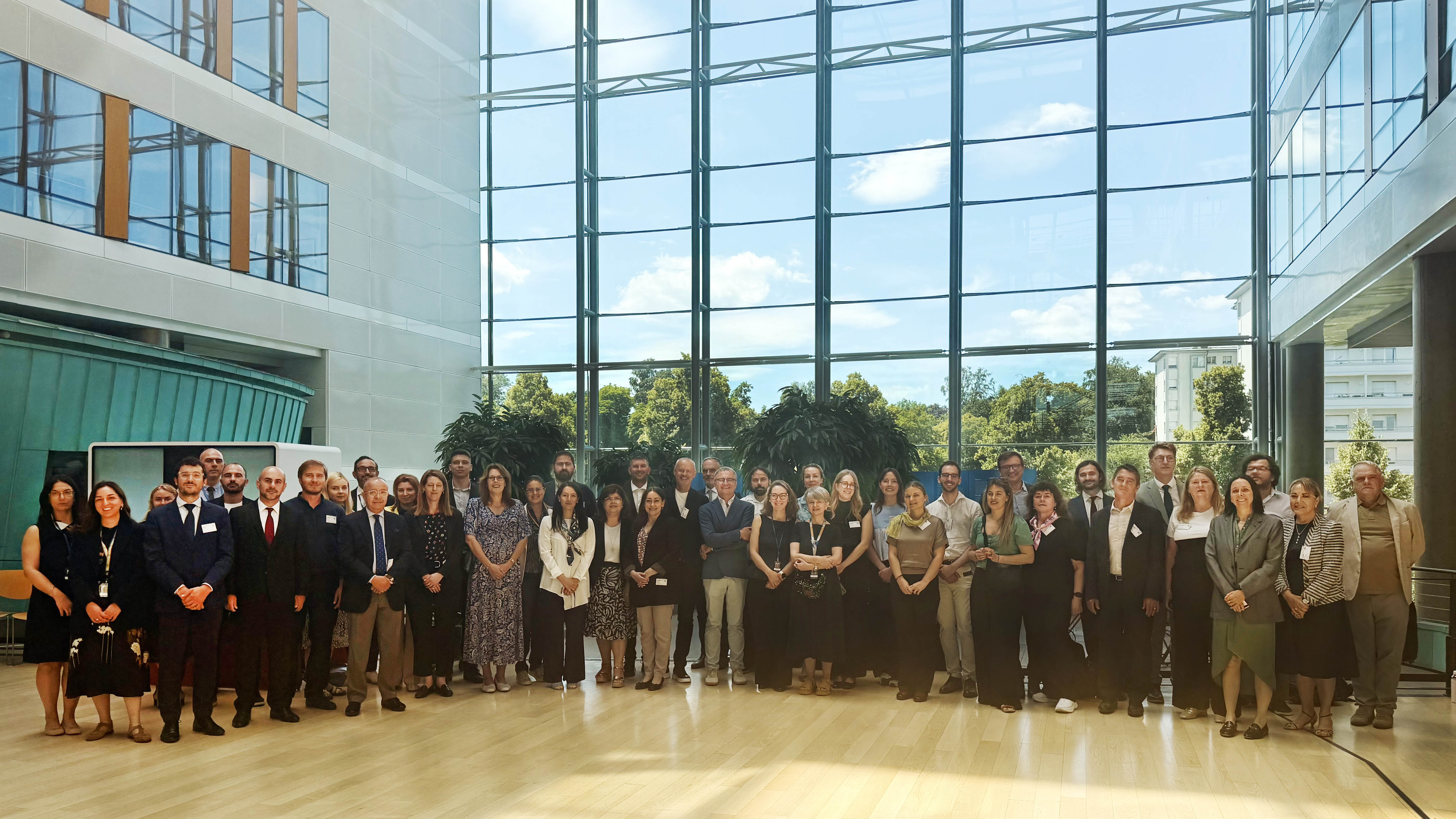 29th Plenary Meeting of the Steering Committee on Media and Information Society (CDMSI)