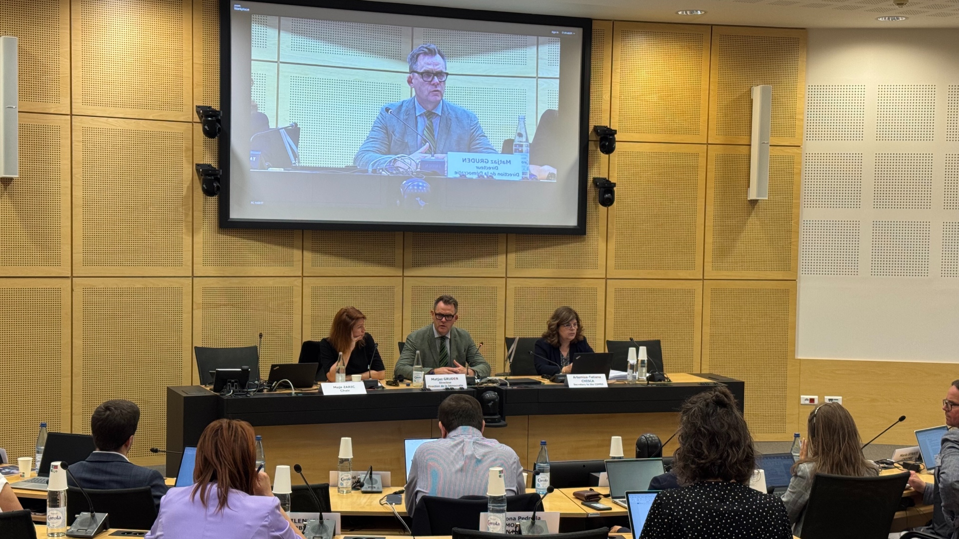 27th Plenary Meeting of the Steering Committee on Media and Information Society (CDMSI)