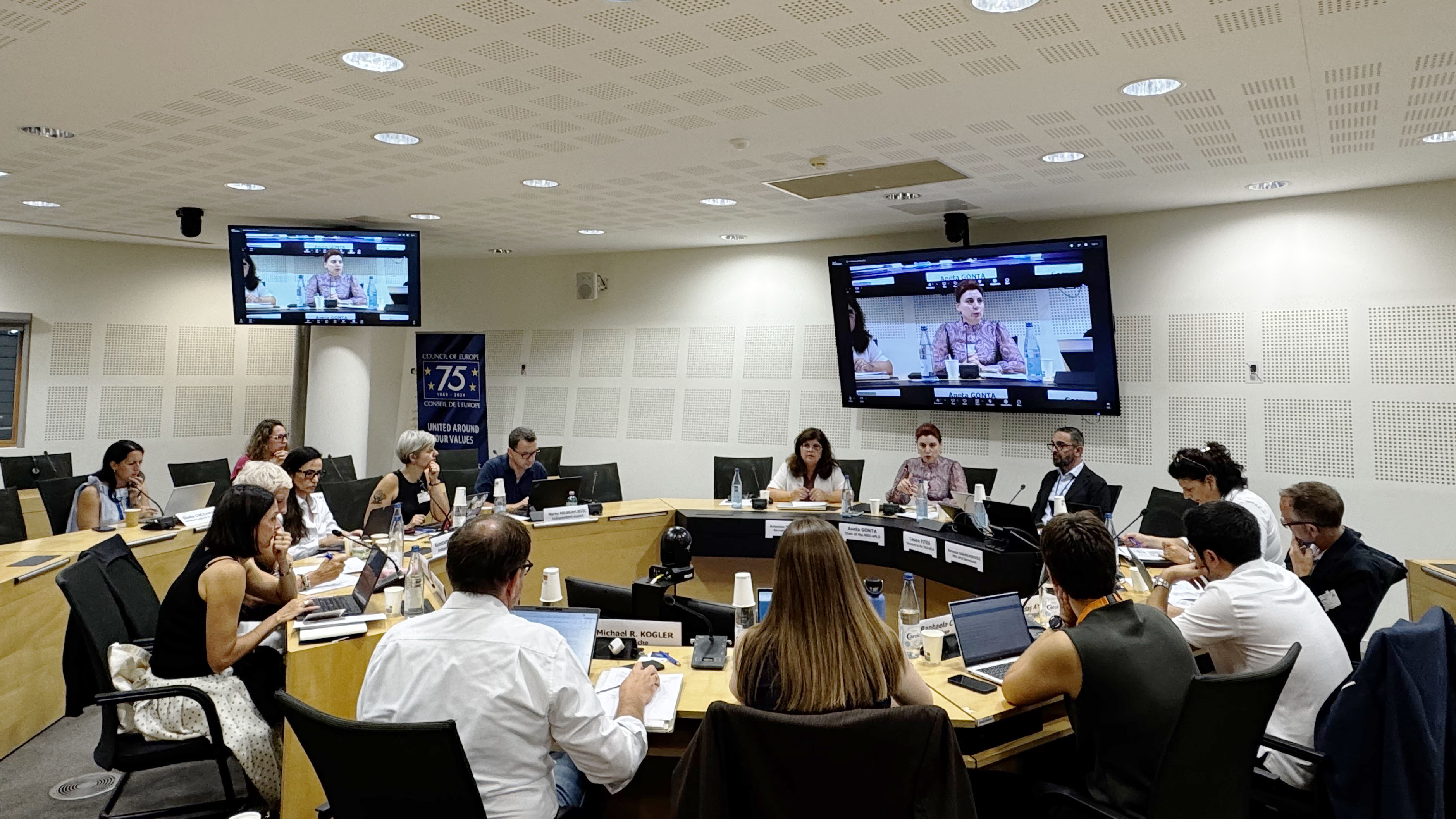 Experts advance work on media pluralism in the digital age