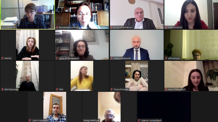 Online training session on “Protection of Human Rights in Mental Health Services’’ under the Project on ‘‘Human Rights Protection in Biomedicine’’ in Armenia