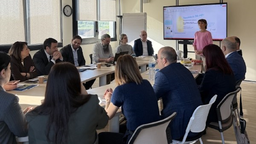 Council of Europe strengthens collaboration with Armenia in promoting the autonomy of persons with mental health issues