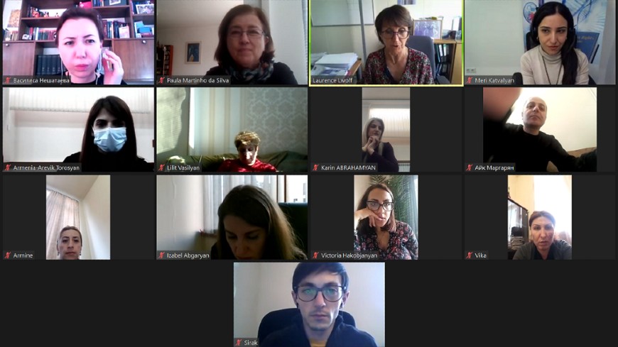 Online training session on “Ethical rules for healthcare professionals’’ under the Project on ‘‘Human Rights Protection in Biomedicine’’ in Armenia