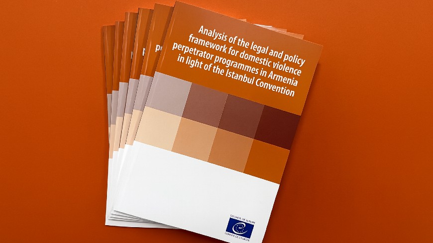 Armenia lays foundation for standards-based perpetrator programmes