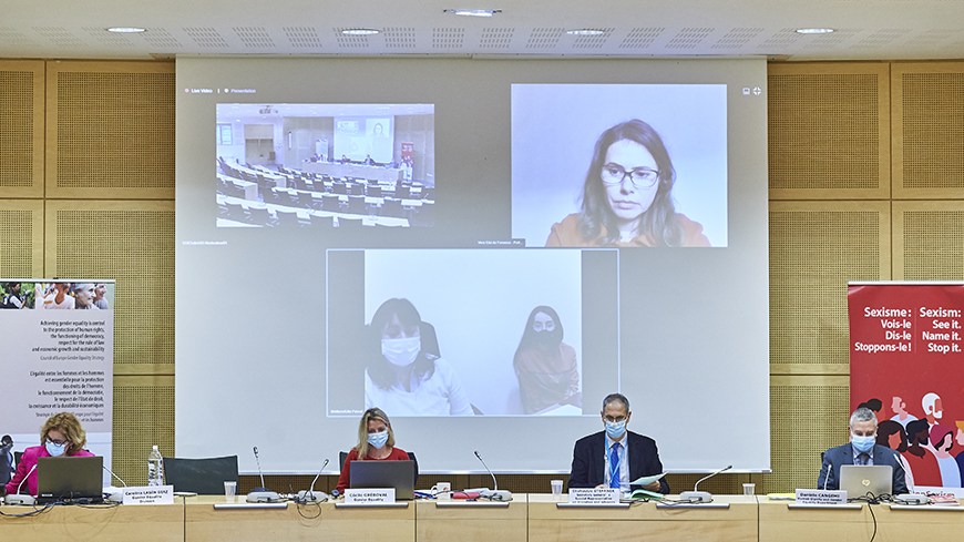 Riches discussions lors de la deuxième réunion du Comité de rédaction du Conseil de l'Europe sur les femmes migrantes, 14-15 décembre 2020