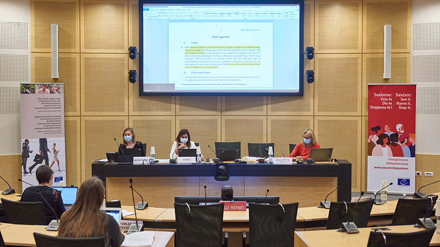Le Comité de rédaction achève ses travaux sur une Recommandation sur les droits des femmes, et filles migrantes, réfugiées et demandeuses d'asile