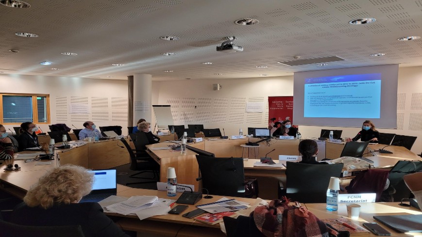 La Division de l'égalité entre les femmes et les hommes a organisé la 7ème formation sur l’approche intégrée de l’égalité pour les rapporteur-es pour l'égalité de genre du Conseil de l’Europe