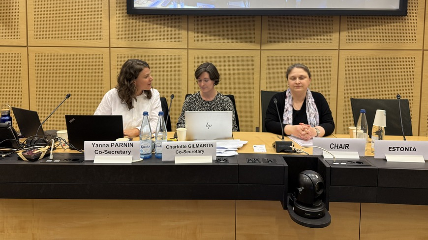 4e réunion du Comité d'expert·es sur l'intelligence artificielle, l'égalité et la discrimination (GEC/ADI-AI)