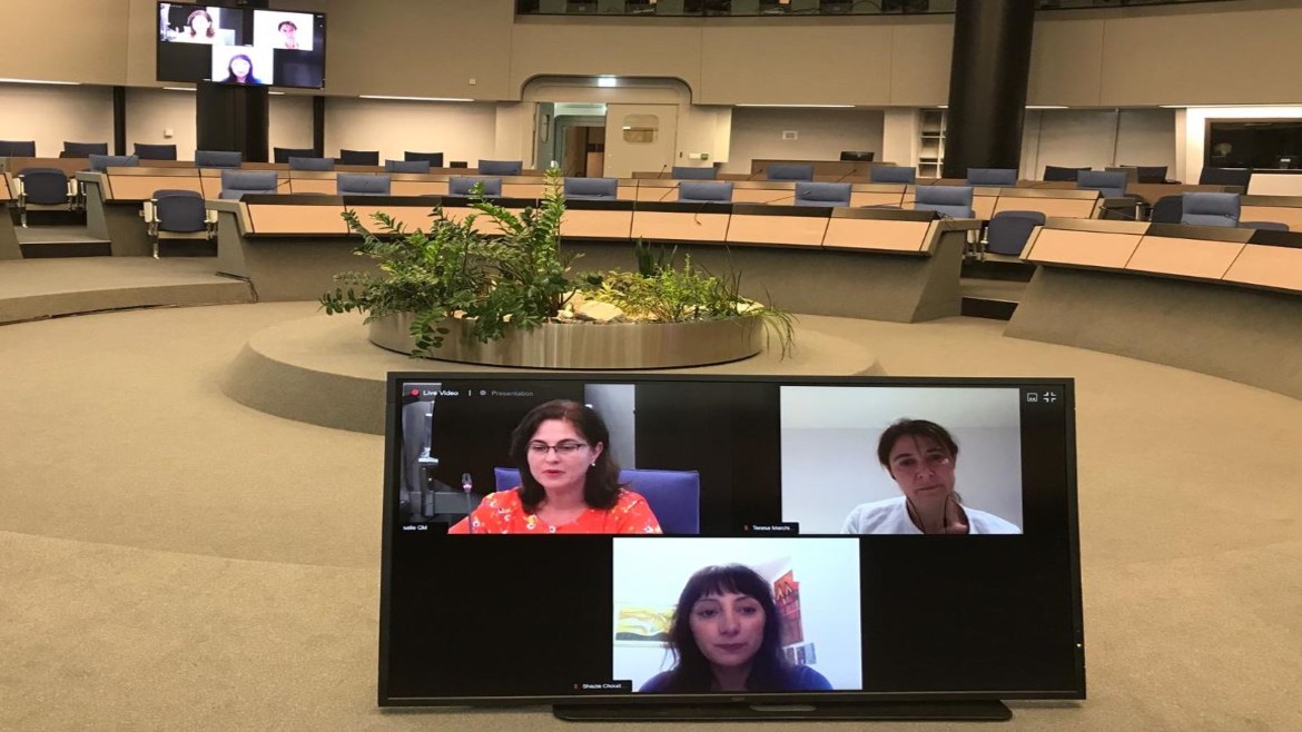 Inter-ministerial webinars on measuring Women’s Access to Justice in the Eastern Partnership countries
