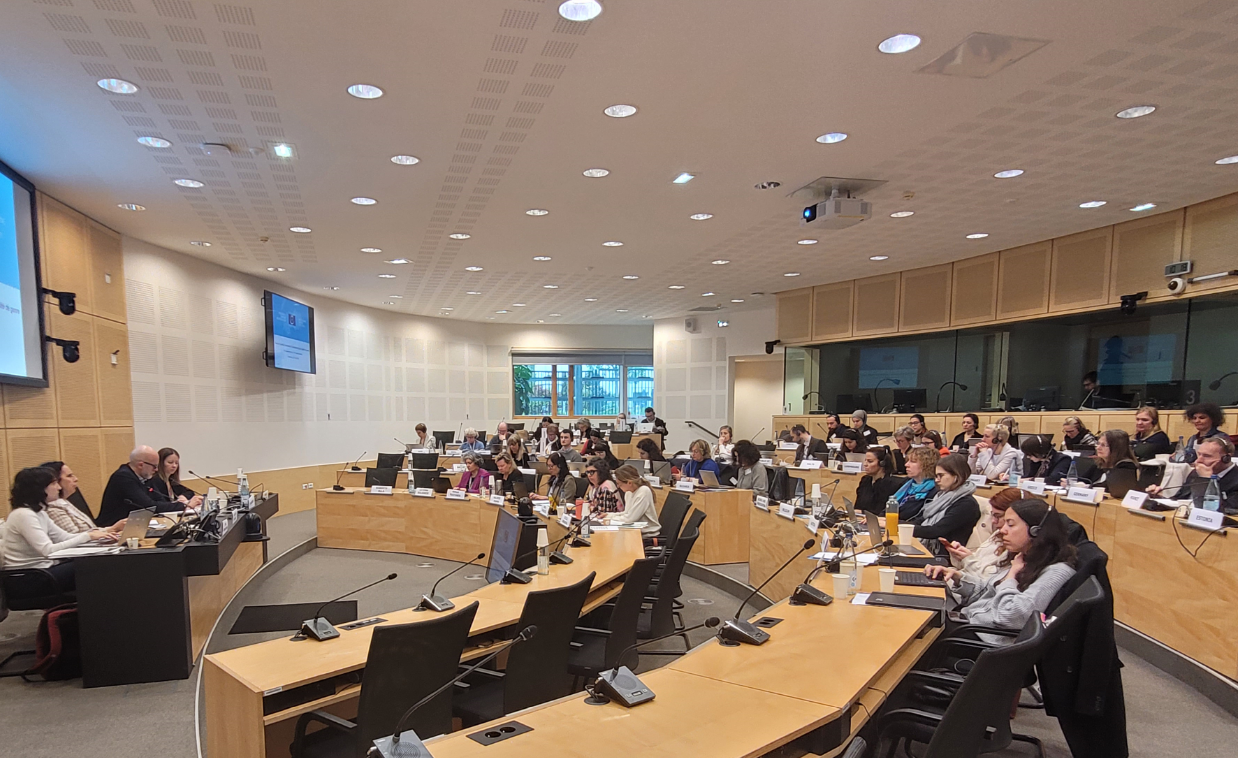 Coordination des travaux en matière d'égalité de genre- La GEC organise des échanges avec la CEDAW, l'OSCE/BIDDH, l'OCDE et l'ECRI