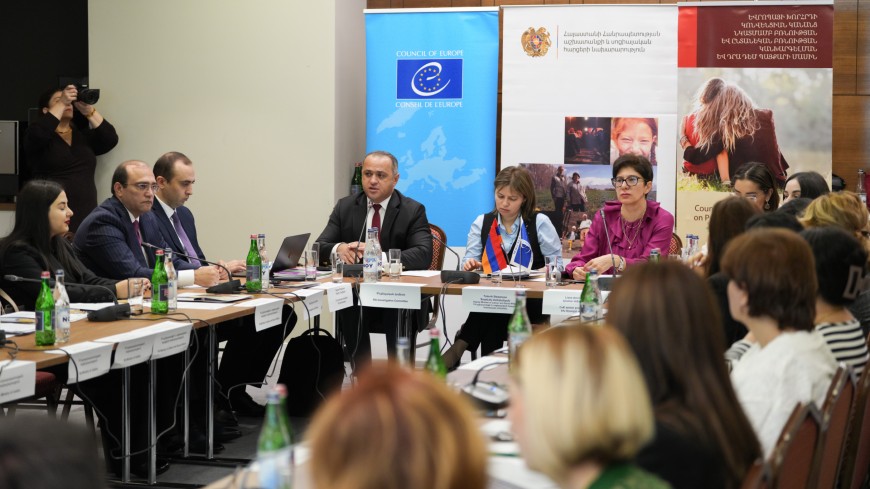 Le Conseil de l'Europe soutient les discussions du groupe de travail sur la mise en place d'un programme destiné aux auteurs de violences domestiques en Arménie