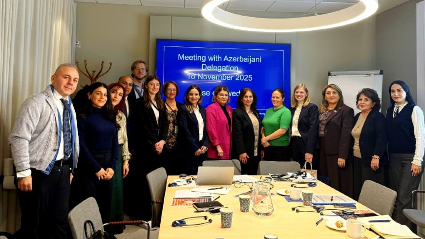 Les autorités azerbaïdjanaises explorent les mécanismes suédois de coordination et de protection afin de renforcer la réponse nationale contre la violence à l’égard des femmes