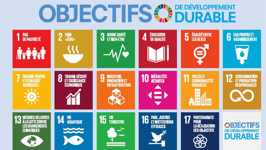 Nouvelle publication sur la contribution du Conseil de l'Europe à l’objectif 5 du programme de développement durable de l’ONU
